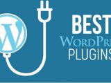 Plugin WordPress Yang Wajib Di Unduh